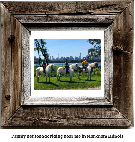 family horseback riding near me in Markham, Illinois